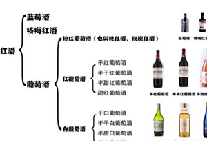 酒知识：红酒怎么选？干红、干白、红酒、甜酒选购指南